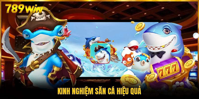 Kinh nghiệm săn cá hiệu quả