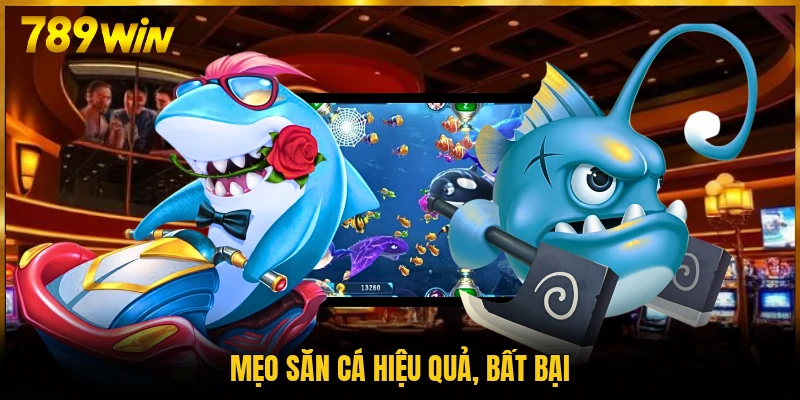 Mẹo săn cá hiệu quả, bất bại